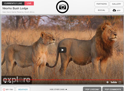 Puedes observar animales en reservas naturales y zoológicos Puedes observar animales en reservas naturales y zoológicos